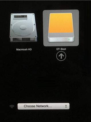 Photo of the boot device picker on a Mac
